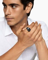 Chevron Signet Ring in Black Titanium, 18mm